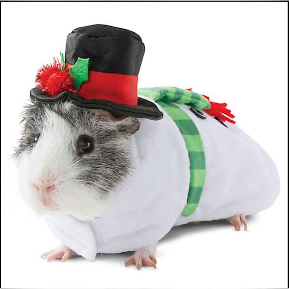 Thrills and chills Guinea pig Christmas Santa Claus 2 pc costume with hat. GUC